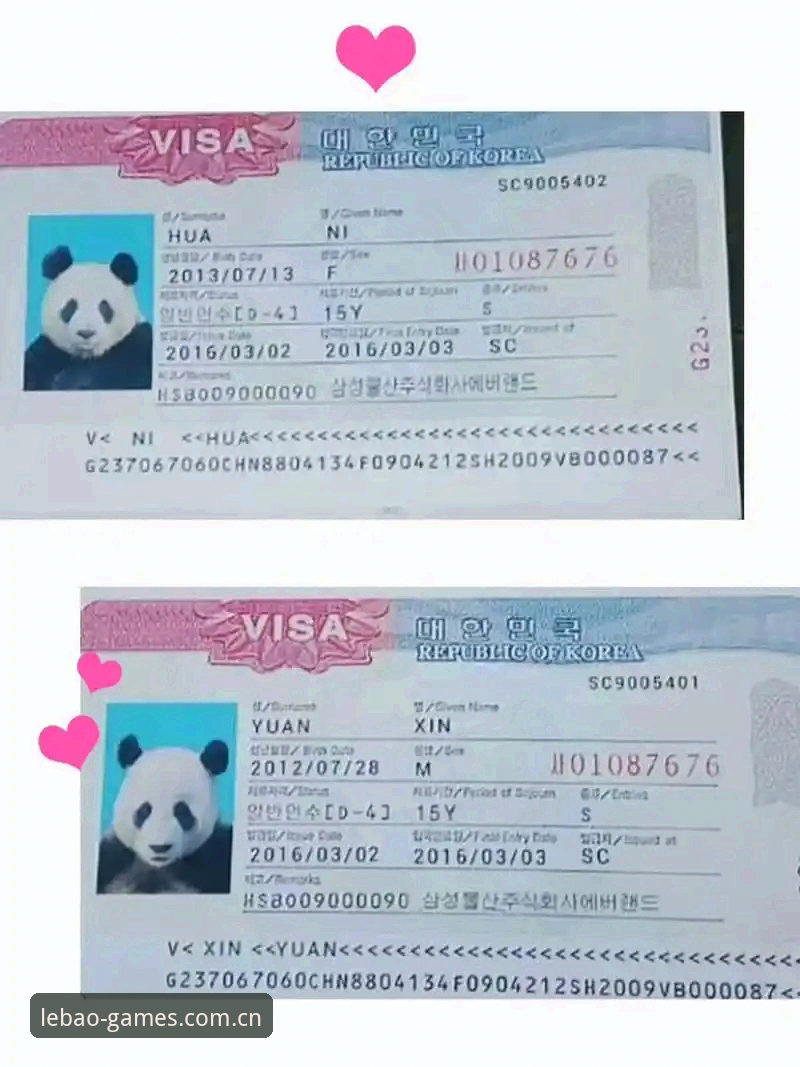 世界杯观赛签证困境深度解析：从乐宝体育官网获取赛事资讯的完整指南